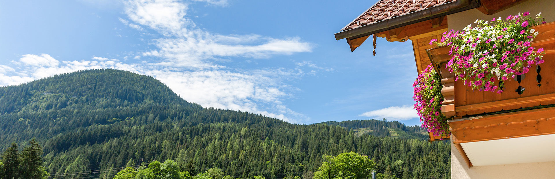 Ferienwohnungen in Flachau, Salzburger Land