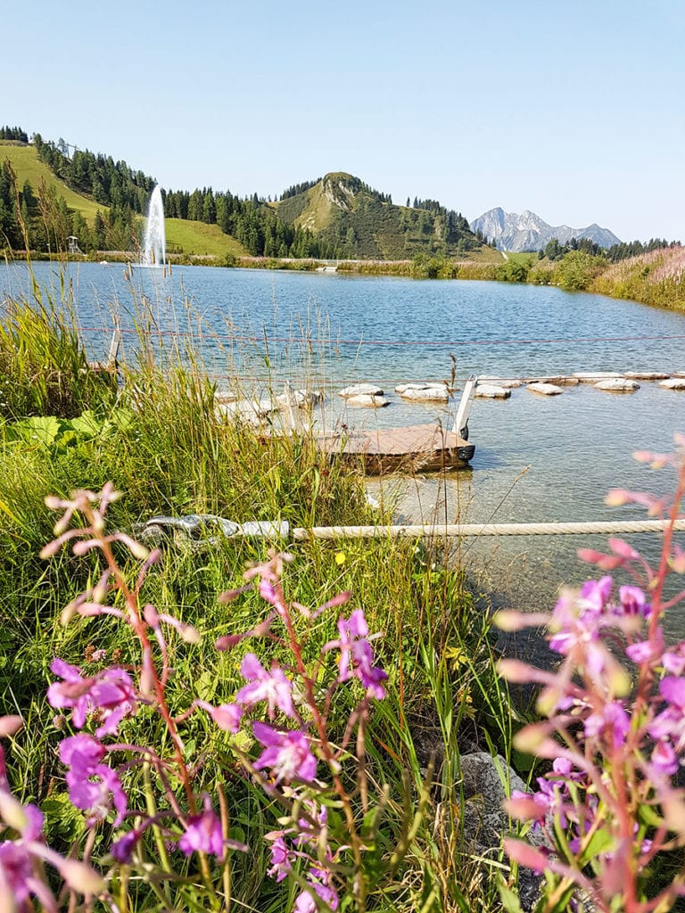 Sommerurlaub in Flachau, Flachauer Bergkristall, Salzburger Land