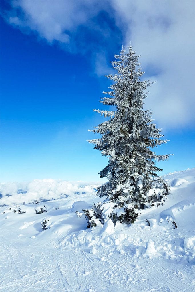 Winterurlaub in Flachau, Flachauer Bergkristall, Salzburger Land